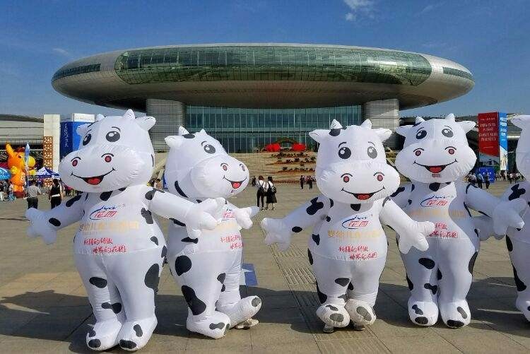 张家川奶牛固定吉祥物